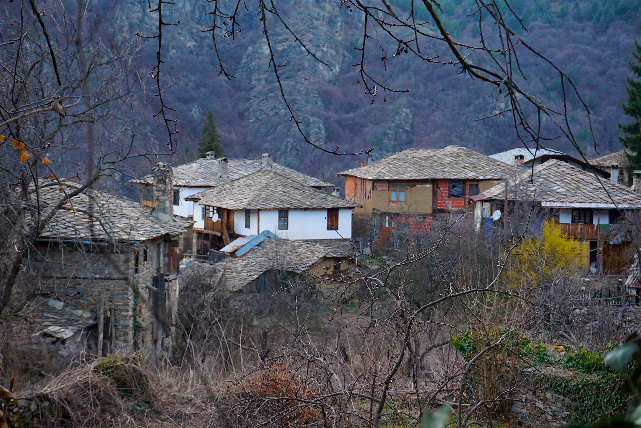 Bulgarie